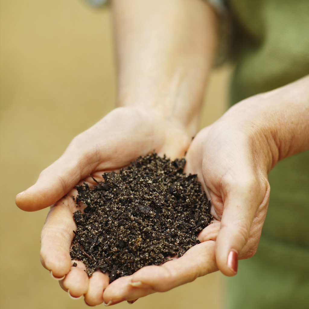 Close-up mid section of woman holding soil